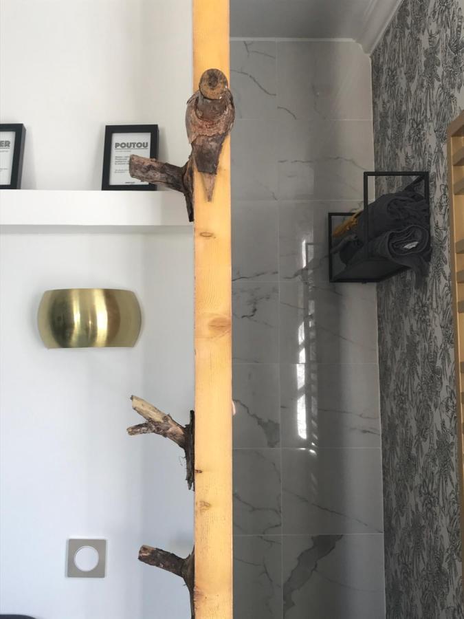 La Loge 45 Au Coeur Du Centre Historique De Rodez Appartement Buitenkant foto